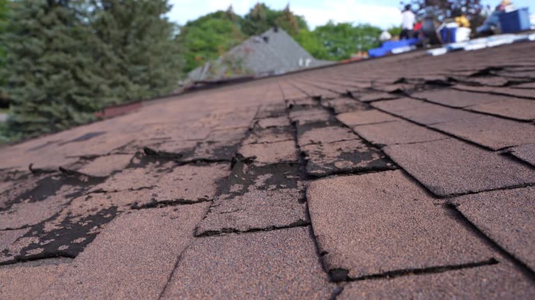 Best Chimney Flashing Repair  in Vinton, TX