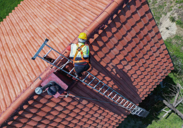 Best Roof Insulation Installation  in Vinton, TX